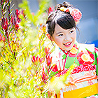七五三フォトスタジオ前撮り撮影ギャラリー　写真No.26