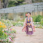 七五三フォトスタジオ前撮り撮影ギャラリー　写真No.31