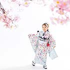 七五三フォトスタジオ前撮り撮影ギャラリー　写真No.171