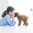 フォトスタジオペット撮影ギャラリー　写真No.34