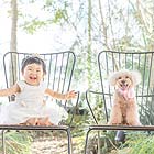 フォトスタジオペット撮影ギャラリー　写真No.66
