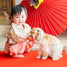 フォトスタジオペット撮影ギャラリー　写真No.70