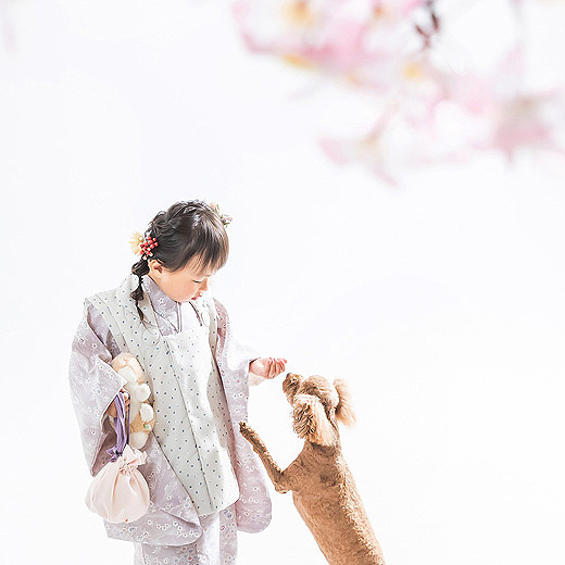 掛川市フォトスタジオの桜スタジオのギャラリー13